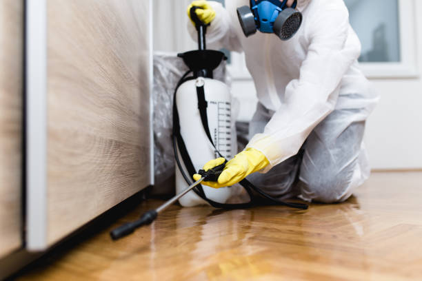 Best Pest Removal Services  in Owosso, MI