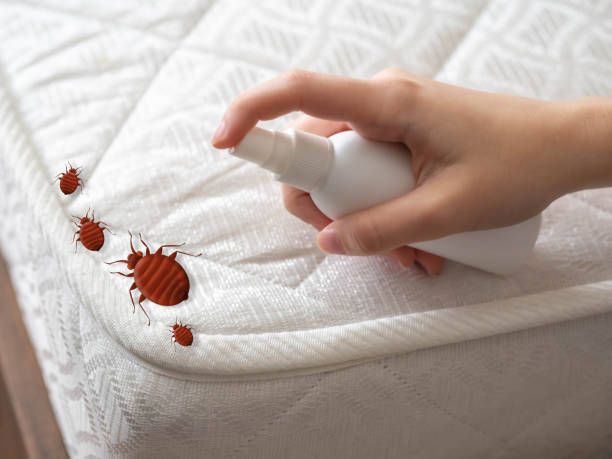 Best Bed Bug Extermination  in Owosso, MI