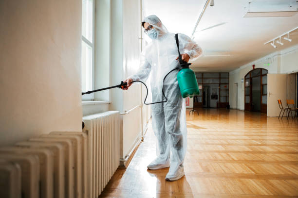 Best Local Pest Control Services  in Owosso, MI